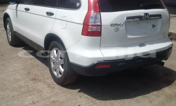 Buy Import Honda CR–V White Car in Daura in Katsina Buy Import Honda CR–V White Car in Daura in Katsina