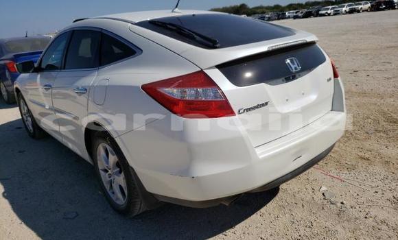 Buy New Honda Crosstour White Car in Badagry in Lagos State Buy New Honda Crosstour White Car in Badagry in Lagos State