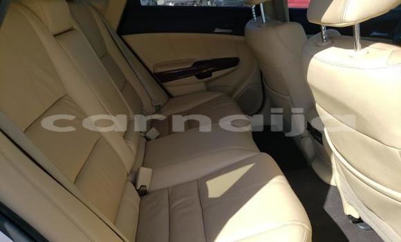 Buy New Honda Crosstour White Car in Badagry in Lagos State Buy New Honda Crosstour White Car in Badagry in Lagos State