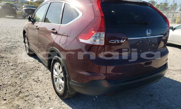 Buy New Honda CR–V Red Car in Badagry in Lagos State Buy New Honda CR–V Red Car in Badagry in Lagos State