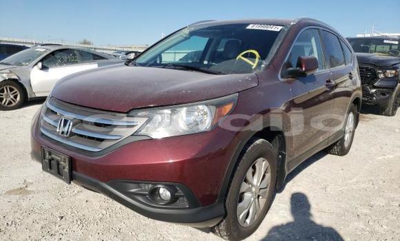 Buy New Honda CR–V Red Car in Badagry in Lagos State Buy New Honda CR–V Red Car in Badagry in Lagos State