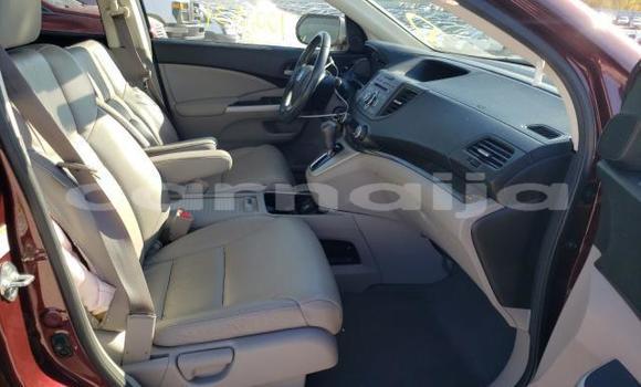 Buy New Honda CR–V Red Car in Badagry in Lagos State Buy New Honda CR–V Red Car in Badagry in Lagos State