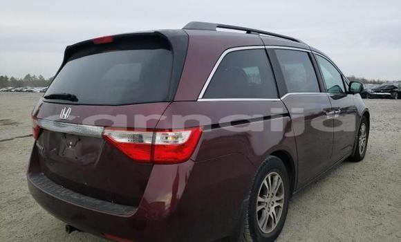Buy New Honda Odyssey Red Car in Badagry in Lagos State Buy New Honda Odyssey Red Car in Badagry in Lagos State