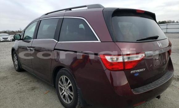 Buy New Honda Odyssey Red Car in Badagry in Lagos State Buy New Honda Odyssey Red Car in Badagry in Lagos State