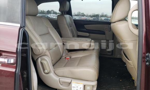 Buy New Honda Odyssey Red Car in Badagry in Lagos State Buy New Honda Odyssey Red Car in Badagry in Lagos State