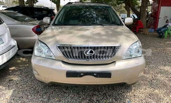 Buy New Lexus RX 350 Brown Car in Gombe in Gombe State