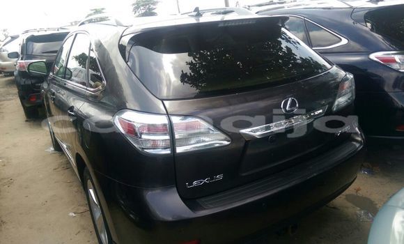 Acheter Occasion Voiture Lexus RX Autre à Daura, Katsina Acheter Occasion Voiture Lexus RX Autre à Daura, Katsina