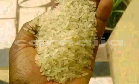 Buy Bags of rice for sale in Lagos in Lagos State Buy Bags of rice for sale in Lagos in Lagos State