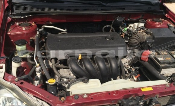 Buy Used Toyota Corolla Red Car in Abuja in Lagos State Buy Used Toyota Corolla Red Car in Abuja in Lagos State