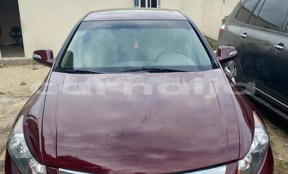 Buy Used Honda Accord Red Car in Uyo in Akwa Ibom State Buy Used Honda Accord Red Car in Uyo in Akwa Ibom State