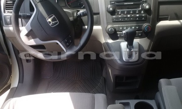 Acheter Import Voiture Honda CR–V Blanc à Asaba, État du Delta Acheter Import Voiture Honda CR–V Blanc à Asaba, État du Delta