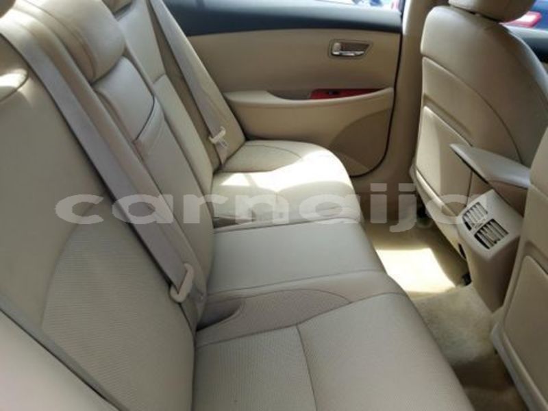 Big with watermark f886a52f c b874