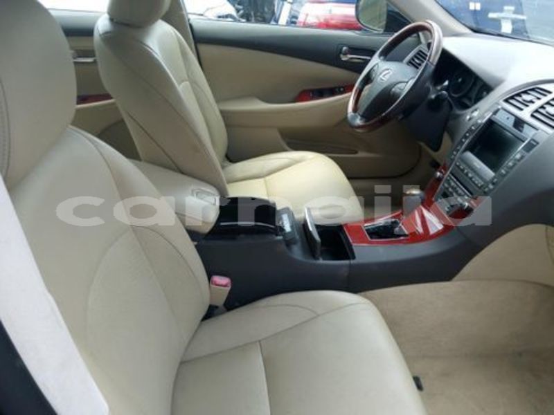 Big with watermark d6e7dc5f 4 f21f