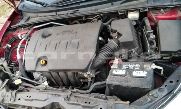 Acheter Occasion Voiture Toyota Corolla Rouge à Lagos, État de Lagos Acheter Occasion Voiture Toyota Corolla Rouge à Lagos, État de Lagos