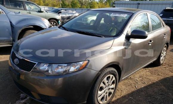 Buy Used Kia Forte Other Car in Lagos in Lagos State Buy Used Kia Forte Other Car in Lagos in Lagos State