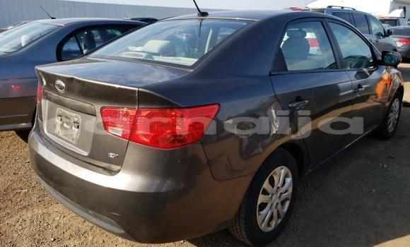 Buy Used Kia Forte Other Car in Lagos in Lagos State Buy Used Kia Forte Other Car in Lagos in Lagos State