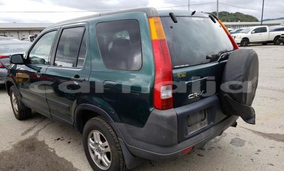 Buy Used Honda CR–V Other Car in Lagos in Lagos State Buy Used Honda CR–V Other Car in Lagos in Lagos State