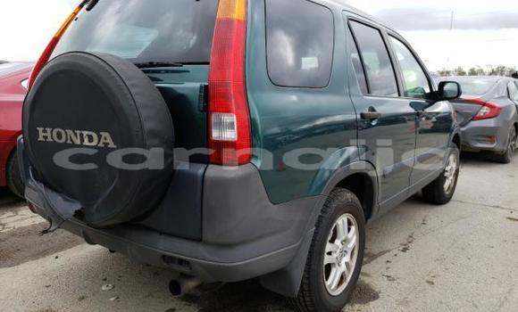 Buy Used Honda CR–V Other Car in Lagos in Lagos State Buy Used Honda CR–V Other Car in Lagos in Lagos State