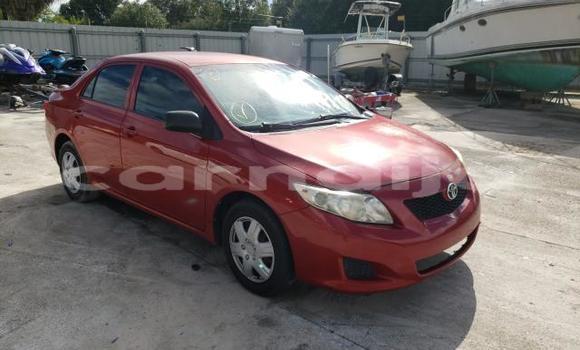 Buy Used Toyota Corolla Other Car in Lagos in Lagos State