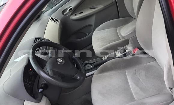 Acheter Occasion Voiture Toyota Corolla Rouge à Lagos, État de Lagos Acheter Occasion Voiture Toyota Corolla Rouge à Lagos, État de Lagos