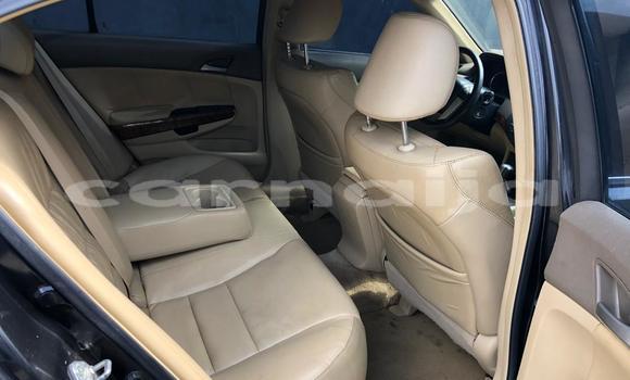 Buy Used Honda Accord Green Car in Lagos in Lagos State Buy Used Honda Accord Green Car in Lagos in Lagos State