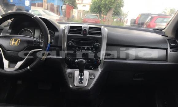 Buy Used Honda CR–V Blue Car in Lagos in Lagos State Buy Used Honda CR–V Blue Car in Lagos in Lagos State