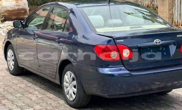 Buy New Toyota Corolla Blue Car in Bauchi in Bauchi