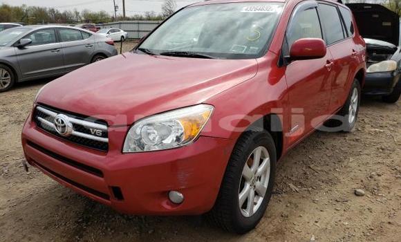 Buy New Toyota RAV4 Red Car in Abeokuta in Ogun State Buy New Toyota RAV4 Red Car in Abeokuta in Ogun State