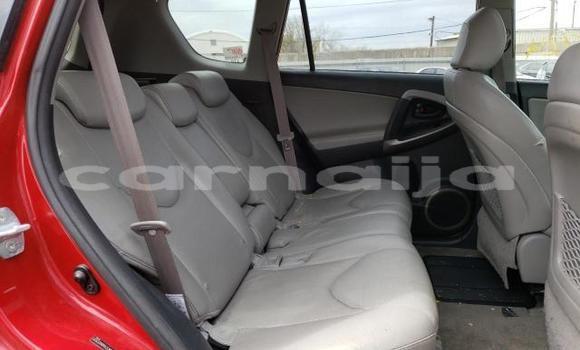 Buy New Toyota RAV4 Red Car in Abeokuta in Ogun State Buy New Toyota RAV4 Red Car in Abeokuta in Ogun State