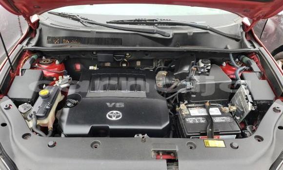 Buy New Toyota RAV4 Red Car in Abeokuta in Ogun State Buy New Toyota RAV4 Red Car in Abeokuta in Ogun State