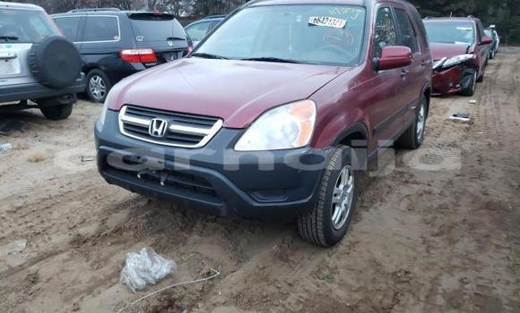 Buy Import Honda CR–V Other Car in Lagos in Lagos State Buy Import Honda CR–V Other Car in Lagos in Lagos State