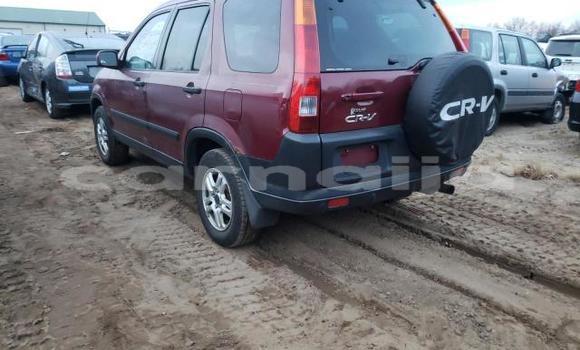 Buy Import Honda CR–V Other Car in Lagos in Lagos State Buy Import Honda CR–V Other Car in Lagos in Lagos State