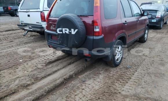 Buy Import Honda CR–V Other Car in Lagos in Lagos State Buy Import Honda CR–V Other Car in Lagos in Lagos State