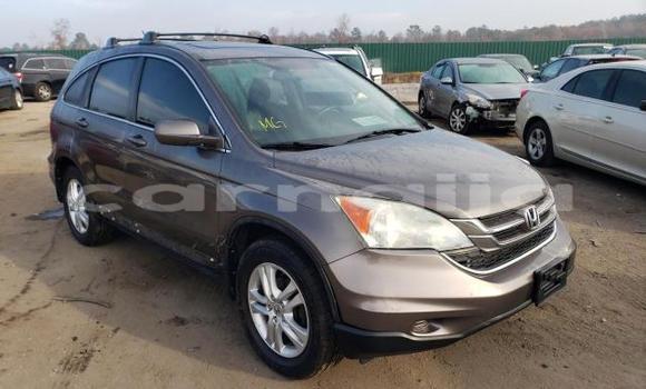 Acheter Import Voiture Honda CR–V Autre à Lagos, État de Lagos