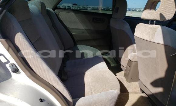 Acheter Neuf Voiture Acura Integra Blanc à Badagry, État de Lagos Acheter Neuf Voiture Acura Integra Blanc à Badagry, État de Lagos