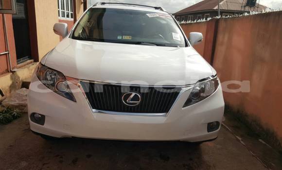 Buy Used Lexus RX 350 White Car in Lagos in Lagos State