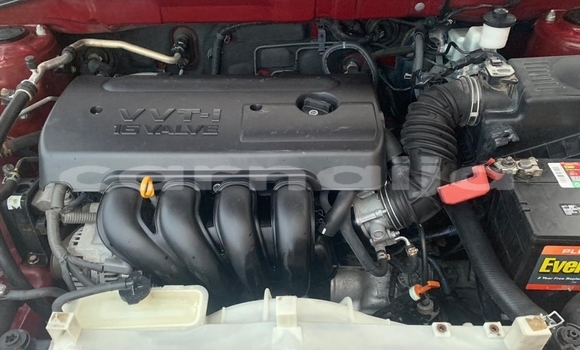 Acheter Occasion Voiture Toyota Corolla Rouge à Kabo, État de Kano Acheter Occasion Voiture Toyota Corolla Rouge à Kabo, État de Kano