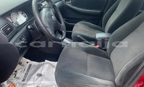 Acheter Occasion Voiture Toyota Corolla Rouge à Kabo, État de Kano Acheter Occasion Voiture Toyota Corolla Rouge à Kabo, État de Kano