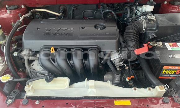 Acheter Occasion Voiture Toyota Corolla Rouge à Kabo, État de Kano Acheter Occasion Voiture Toyota Corolla Rouge à Kabo, État de Kano