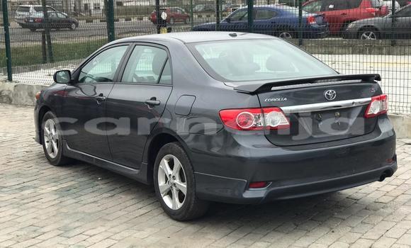 Buy Used Toyota Corolla Other Car in Warri in Delta State