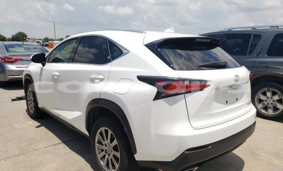 Acheter Neuf Voiture Lexus NX Autre à Lagos, État de Lagos Acheter Neuf Voiture Lexus NX Autre à Lagos, État de Lagos