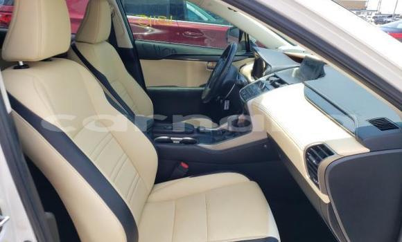 Acheter Neuf Voiture Lexus NX Autre à Lagos, État de Lagos Acheter Neuf Voiture Lexus NX Autre à Lagos, État de Lagos