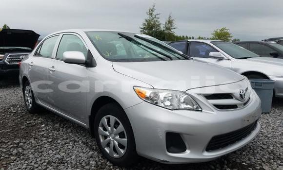 Buy New Toyota Corolla Other Car in Lagos in Lagos State Buy New Toyota Corolla Other Car in Lagos in Lagos State
