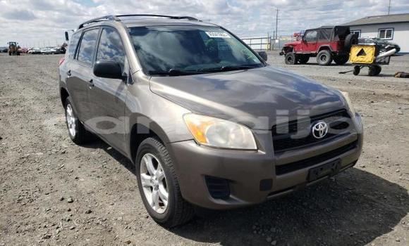 Buy New Toyota RAV4 Brown Car in Abeokuta in Ogun State