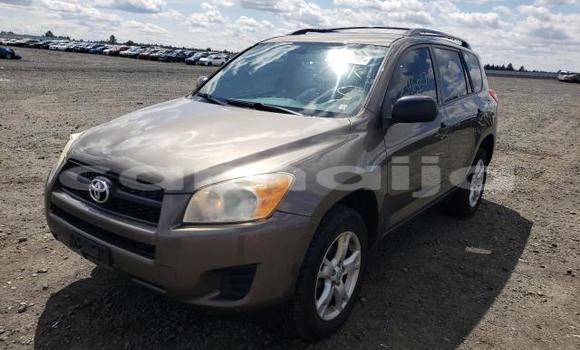 Acheter Neuf Voiture Toyota RAV4 Marron à Abeokuta, État d'Ogun Acheter Neuf Voiture Toyota RAV4 Marron à Abeokuta, État d'Ogun