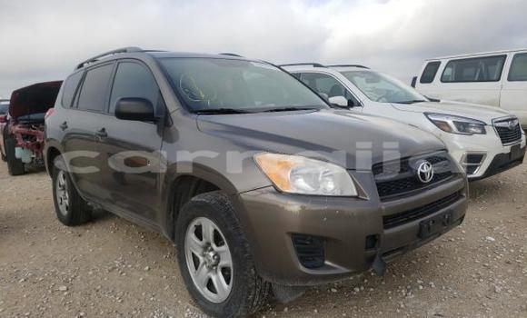 Buy New Toyota RAV4 Brown Car in Abeokuta in Ogun State Buy New Toyota RAV4 Brown Car in Abeokuta in Ogun State