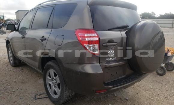 Acheter Neuf Voiture Toyota RAV4 Marron à Abeokuta, État d'Ogun Acheter Neuf Voiture Toyota RAV4 Marron à Abeokuta, État d'Ogun