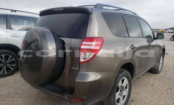 Acheter Neuf Voiture Toyota RAV4 Marron à Abeokuta, État d'Ogun Acheter Neuf Voiture Toyota RAV4 Marron à Abeokuta, État d'Ogun