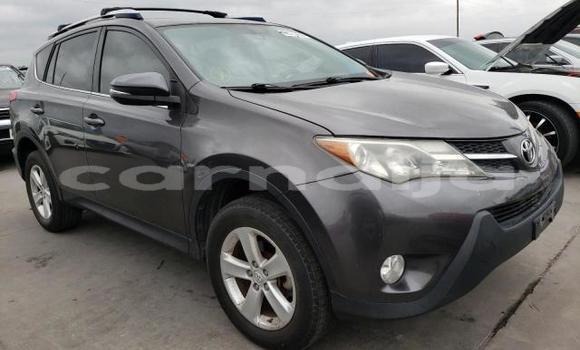 Buy New Toyota RAV4 Brown Car in Abeokuta in Ogun State Buy New Toyota RAV4 Brown Car in Abeokuta in Ogun State
