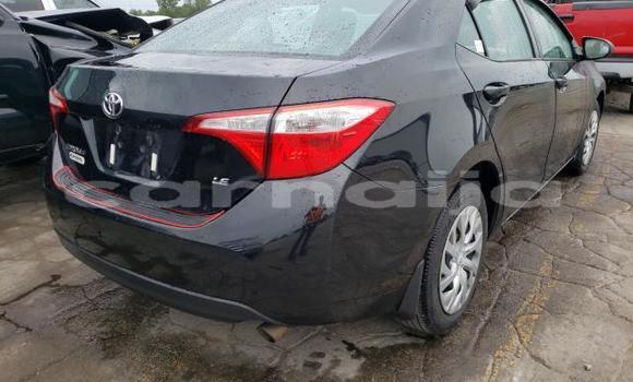 Acheter Neuf Voiture Toyota Corolla Marron à Abeokuta, État d'Ogun Acheter Neuf Voiture Toyota Corolla Marron à Abeokuta, État d'Ogun